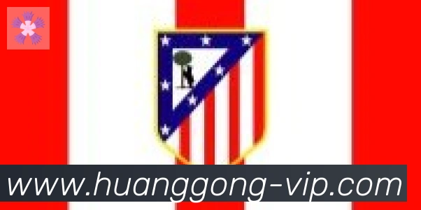 皇宫体育网页版合作伙伴